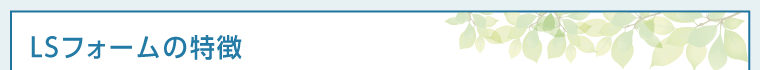 LSフォームの特徴