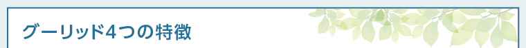 グーリッド4つの特徴