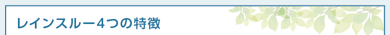 レインスルー4つの特徴